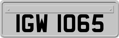 IGW1065
