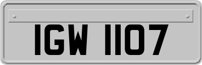 IGW1107