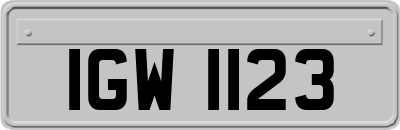 IGW1123
