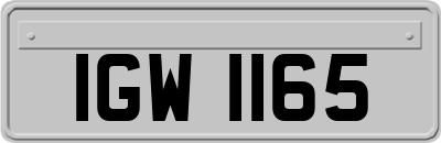 IGW1165