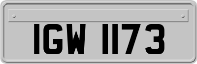 IGW1173