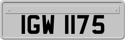 IGW1175