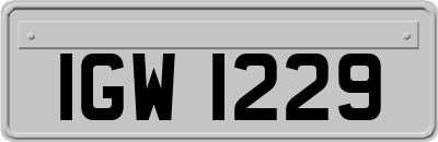 IGW1229