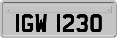 IGW1230