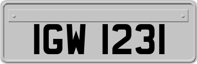 IGW1231