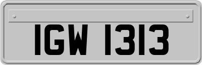 IGW1313