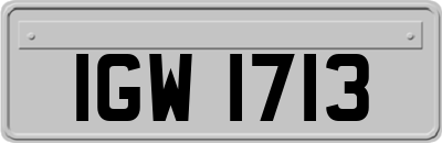 IGW1713