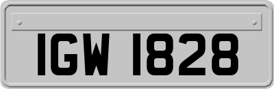 IGW1828