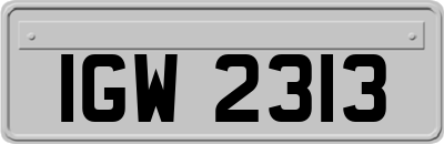 IGW2313