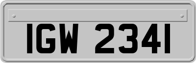 IGW2341