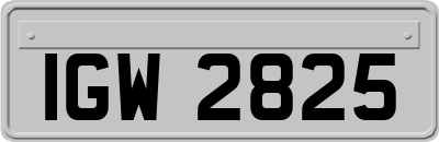 IGW2825
