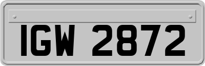 IGW2872