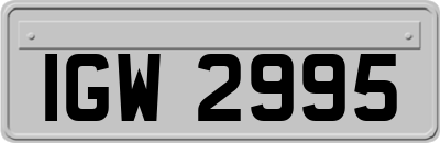 IGW2995