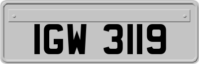 IGW3119