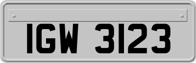 IGW3123