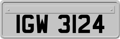 IGW3124