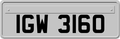IGW3160