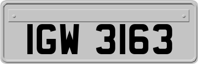 IGW3163