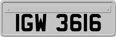 IGW3616