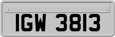 IGW3813