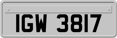 IGW3817