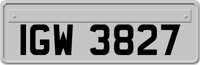 IGW3827
