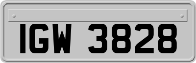 IGW3828