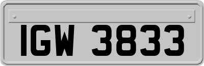 IGW3833