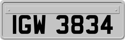 IGW3834