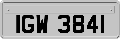 IGW3841