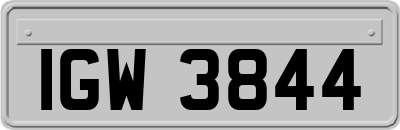 IGW3844