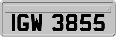 IGW3855