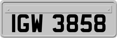 IGW3858
