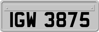 IGW3875