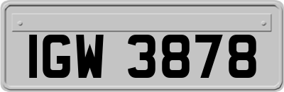 IGW3878