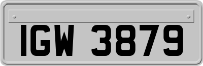 IGW3879