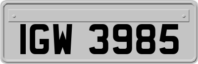 IGW3985