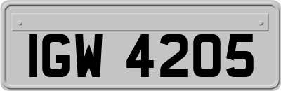 IGW4205