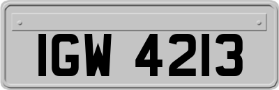 IGW4213