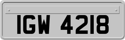 IGW4218