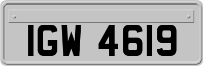 IGW4619