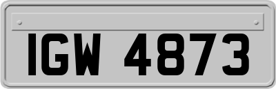 IGW4873