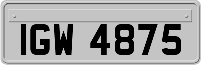 IGW4875