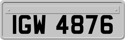 IGW4876