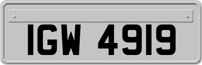 IGW4919