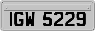 IGW5229
