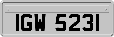 IGW5231