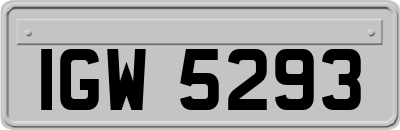 IGW5293