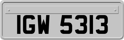 IGW5313