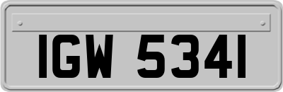 IGW5341